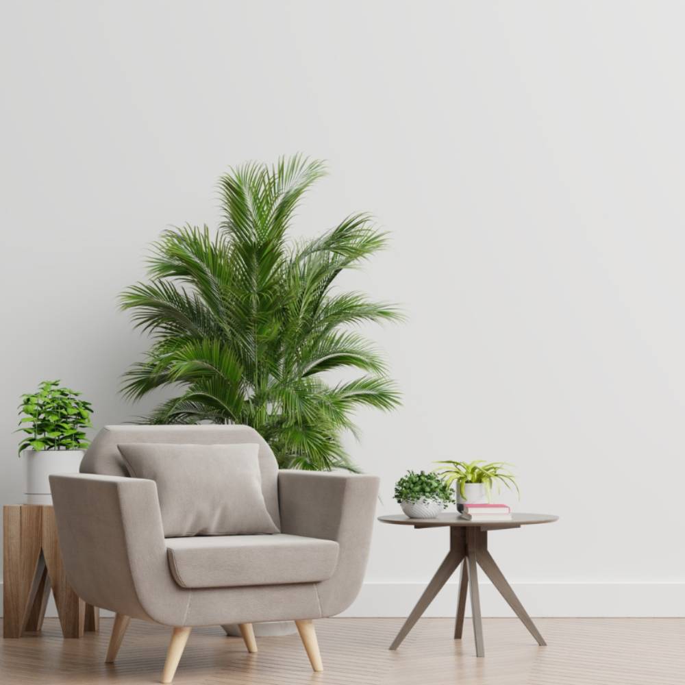 A cozy, welcoming home interior